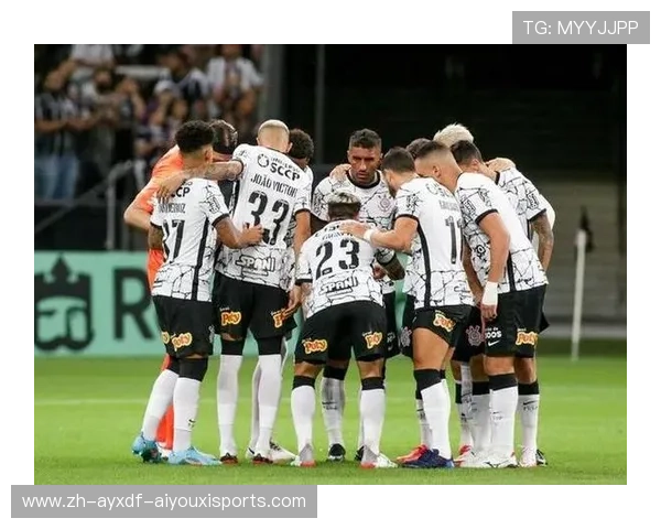 巴西甲级联赛简称及背景 巴西甲级联赛简称及背景